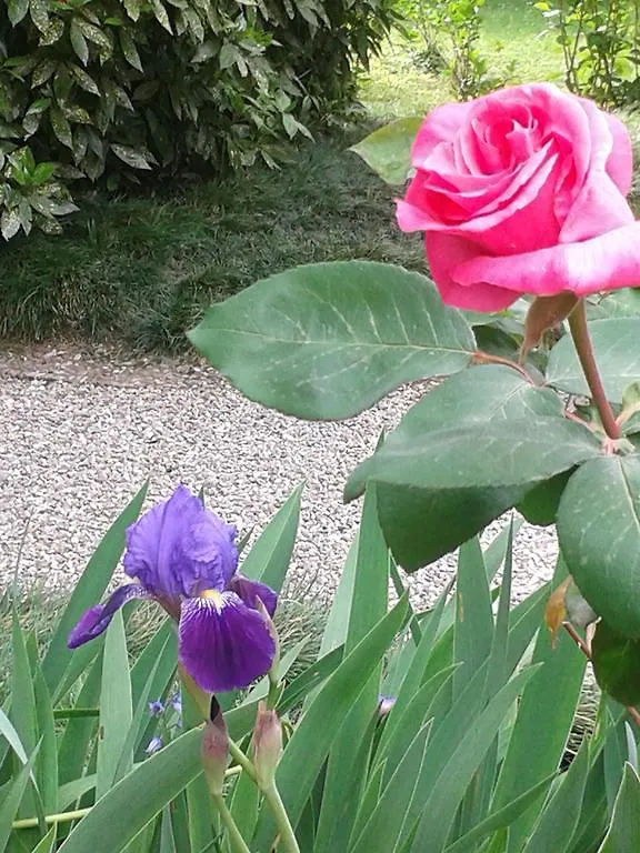 Villa Cavadini Relais Appiano Gentile Italy